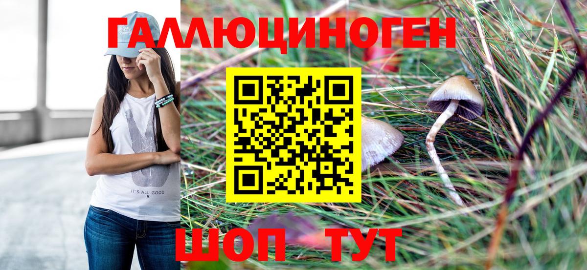 Галлюциногенные грибы ЛСД  Псилоцибиновые грибы Psilocybine cubensis  наркота  Вход с VPN  Ревда 