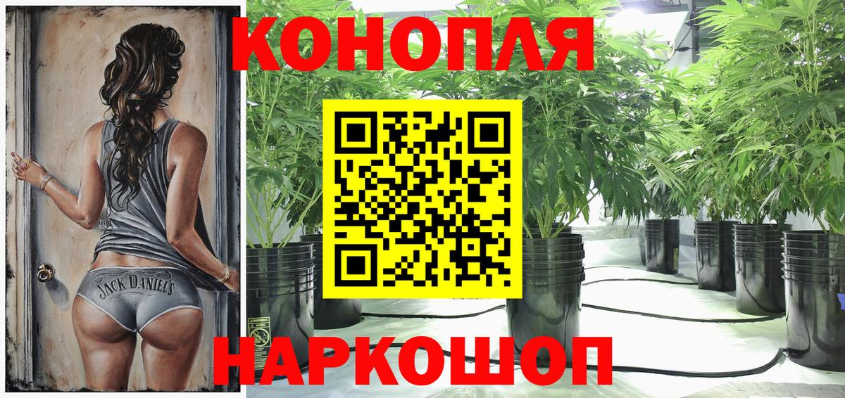 Конопля OG Kush Ревда
